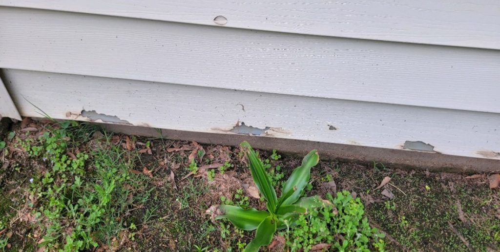 Damaged wall siding